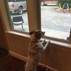 Meet your Posher, Joann